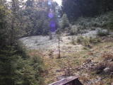 pict0015
