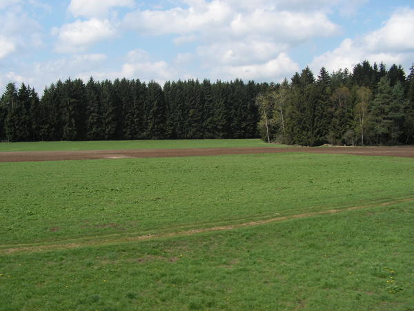 pict0006