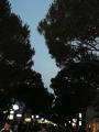 pict0076