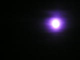 pict0080