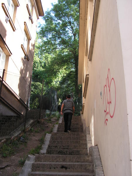 pict0236