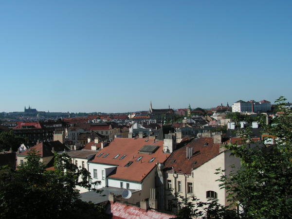 pict0259