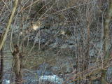 pict0006