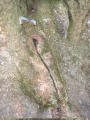 pict0009
