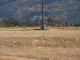 pict0040