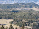 pict0061