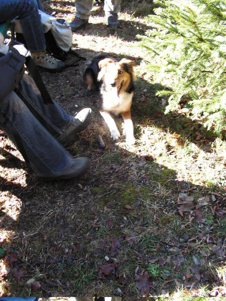 pict0014