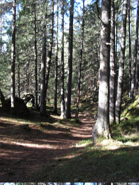 pict0053