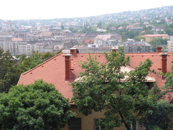 pict0099