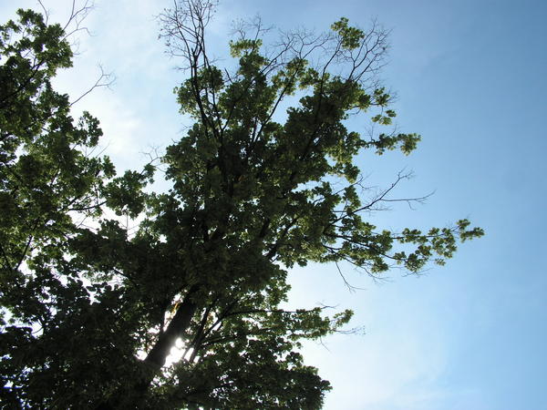 pict0030