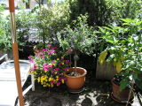 pict0045