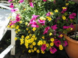 pict0046
