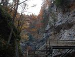 DSCF0010