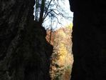 DSCF0017