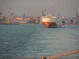 PICT0010