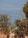 PICT0069