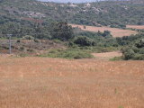 PICT0072