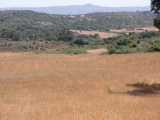 PICT0073