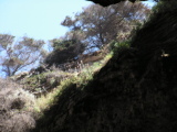PICT0098