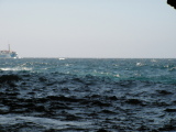 PICT0101