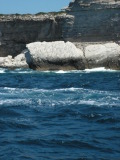 PICT0108