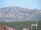 PICT0120