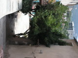 PICT0176