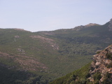 PICT0193