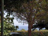 PICT0195