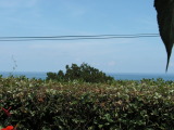 PICT0197