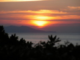 PICT0203