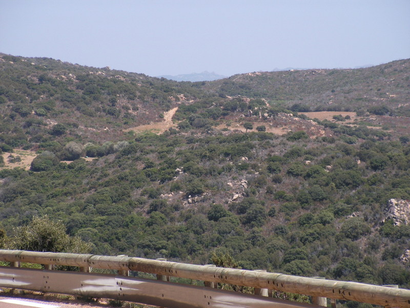 PICT0071