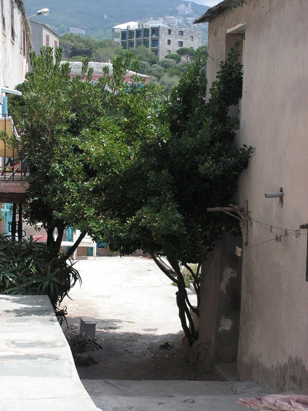 PICT0176