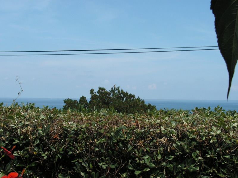 PICT0197