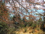 pict0002