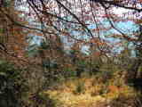 pict0003