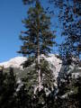 pict0004