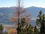 pict0028