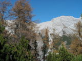 pict0029