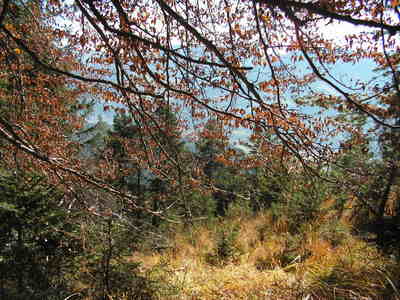 pict0003